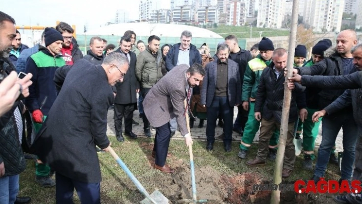 60'ıncı yıla 600 ağaç