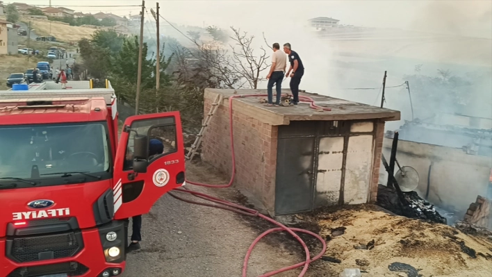 600 dönümlük anız arazisi yandı, bir inek telef oldu