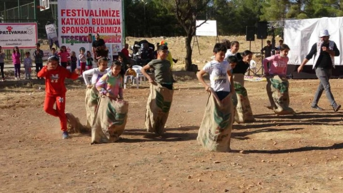 7 Renk Tek Yürek Festivali'nde doğada kamp keyfi