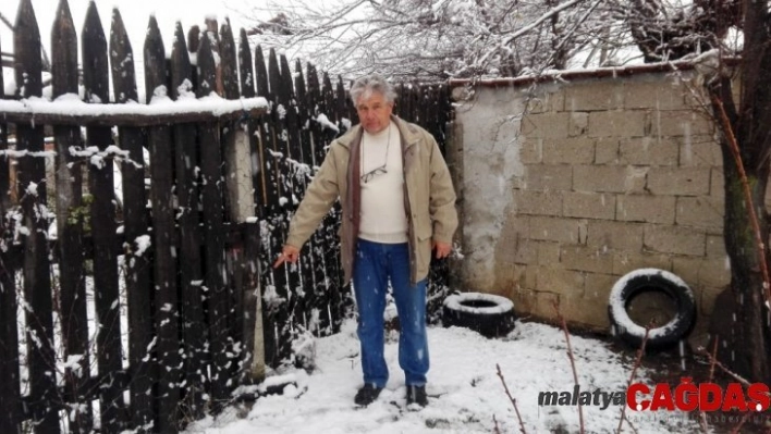 Aç kalan köpekler küçükbaş hayvanlara saldırıyor