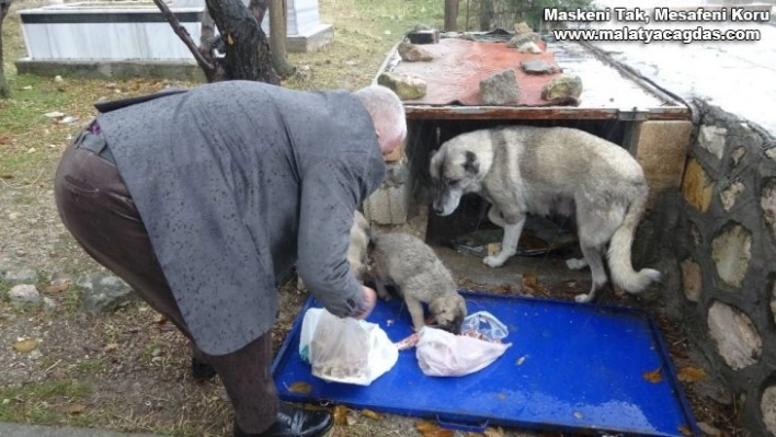 Aç kalan yavru köpeklerin yardımına Başkan Kıymaz yetişti