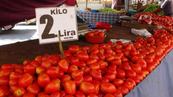 Adana'da domatesin kilosu 2 liraya düştü