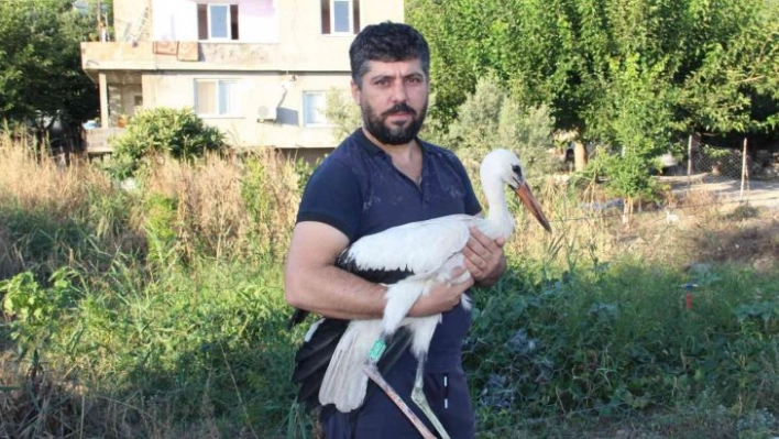 Adını 'Leylektar' koydu, yorgun düşen leyleği iki gün misafir etti