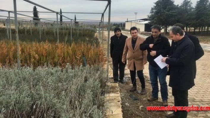 Adıyaman Belediyesinden, 'Yeşil Adıyaman' projesi