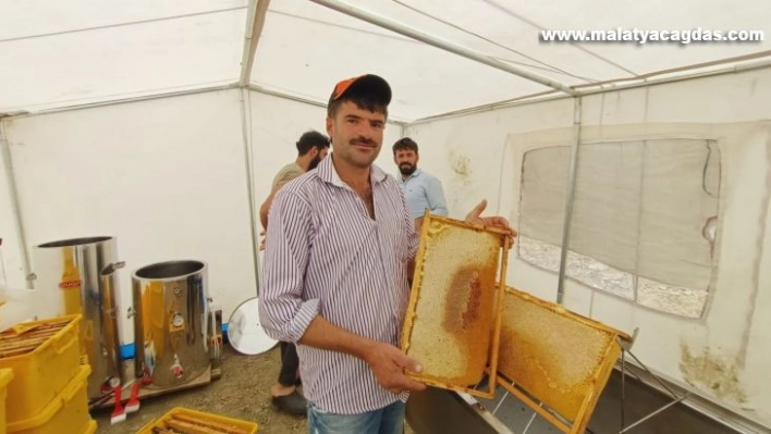 Adıyaman'da 'geven' balı sağımı başladı