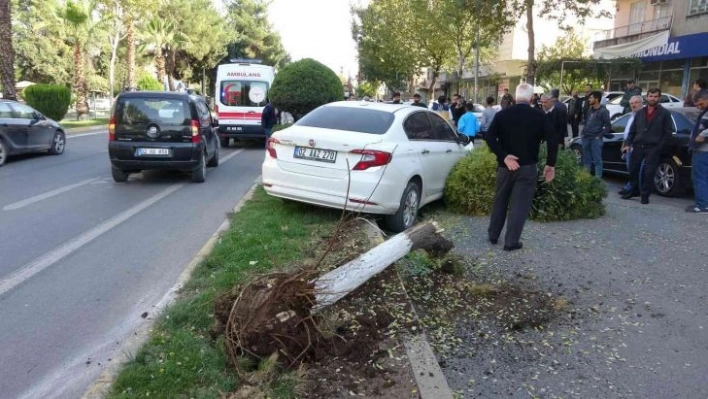 Adıyaman'da 5 araçlı zincirleme kaza: 2 yaralı