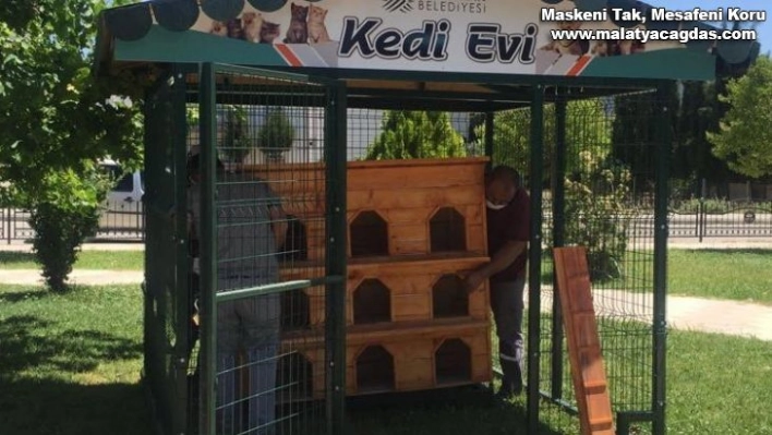 Adıyaman'da kedi evi sayısı arttırılıyor