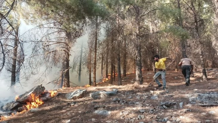 Adıyaman'da orman yangını başladı