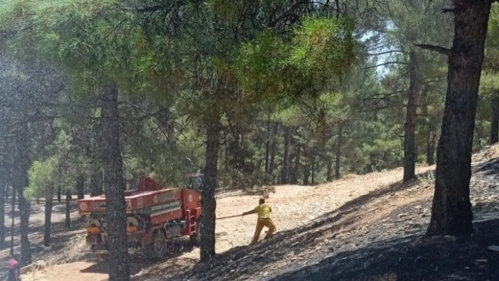 Adıyaman'da orman yangını korkuttu