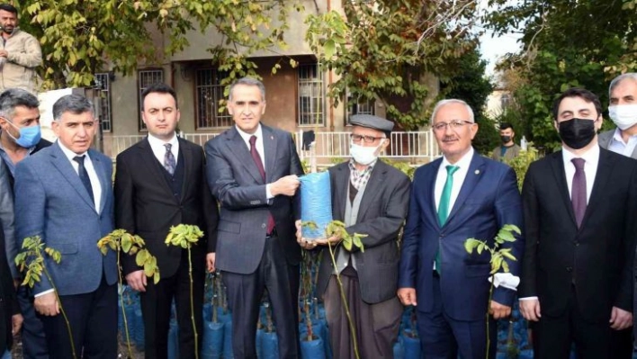 Adıyamanlı çiftçilere 25 bin ceviz fidanı dağıtıldı