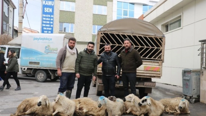 Afetlerden korunmak için kurban kestiler