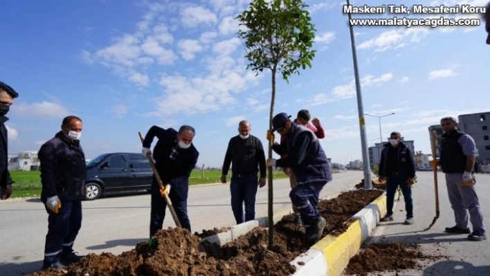 Ağaçlandırma çalışması devam ediyor