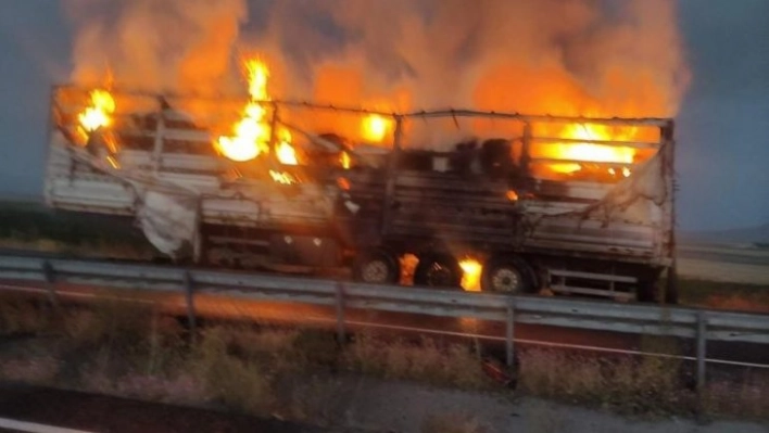 Ağrı'da seyir halindeki tır alev aldı