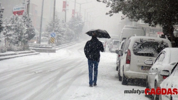 Ahlat'ta Yoğun Kar Yağışı