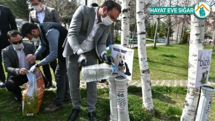 AK Parti Ankara İl Gençlik Kolları hayvanlar için harekete geçti