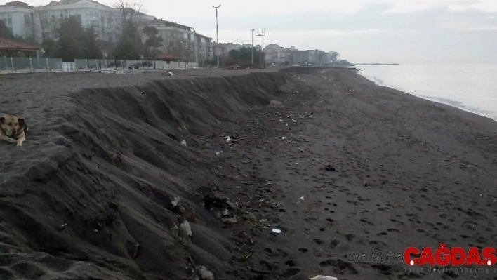 Akçakoca sahilinde şaşırtan görüntü