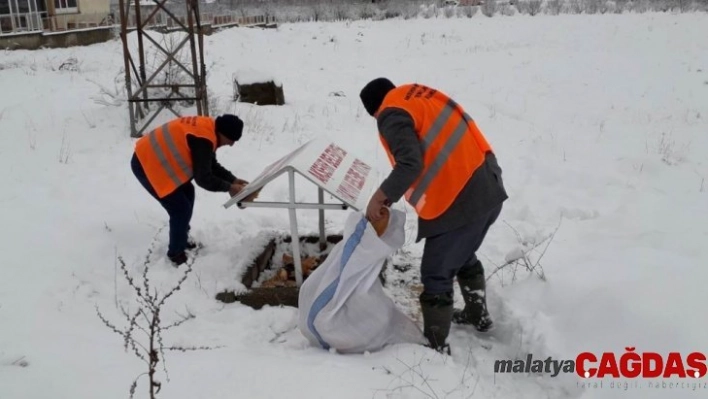 Akşehir Belediyesi sokak hayvanlarını beslemeyi Sürdürüyor