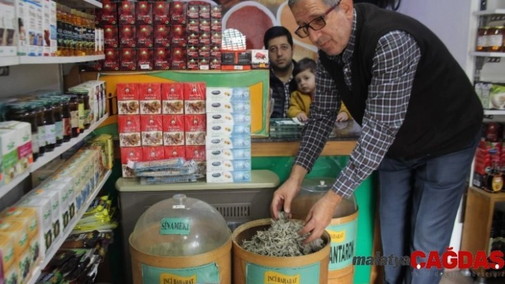 Aktarlar kış mevsiminde daha yoğun