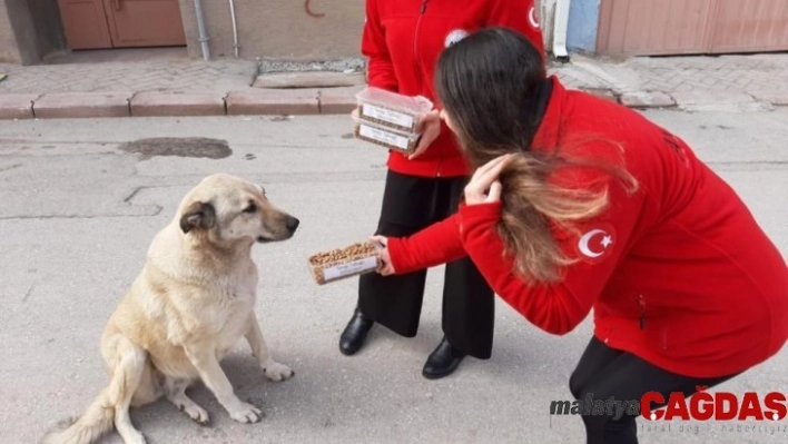 AKUT Öğrenci Topluluğundan örnek çalışma