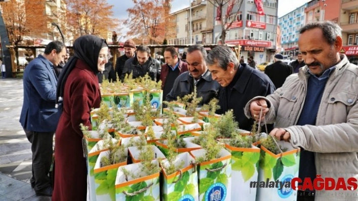 Akyurt Belediyesi'nden 8 bin fidan