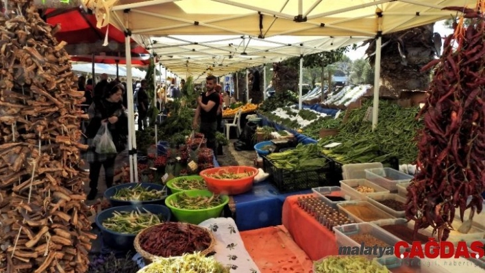 Alaçatı Ot Festivali'nde hediyelik eşya standı olmayacak