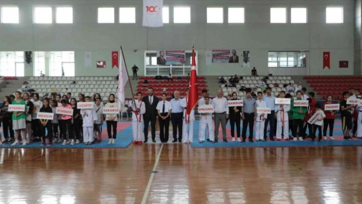 Anadolu Yıldızları Ligi karate finalleri İskenderun'da başladı