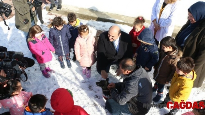 Anaokulunda 'köpek krizi'nde mutlu son