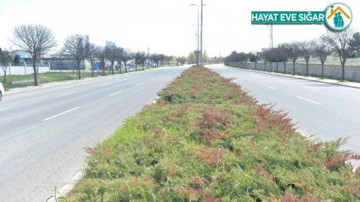 Ankara Büyükşehir Belediyesinden sulamada tasarruf dönemi