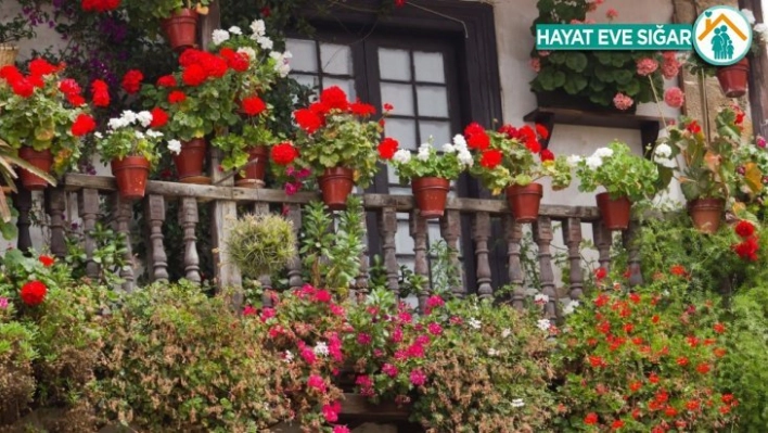 Ankara'da en güzel pencere, balkon ve teraslar yarışma ile belirlenecek