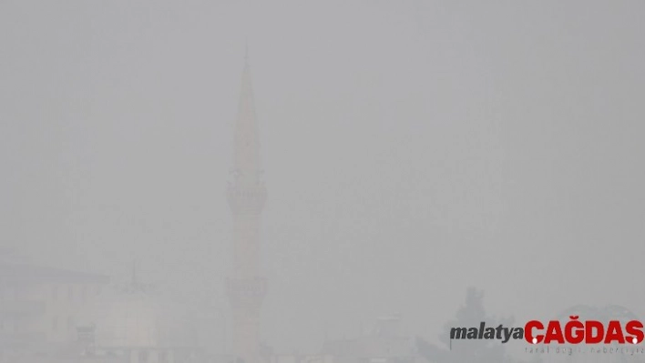 Araban'da yoğun sis