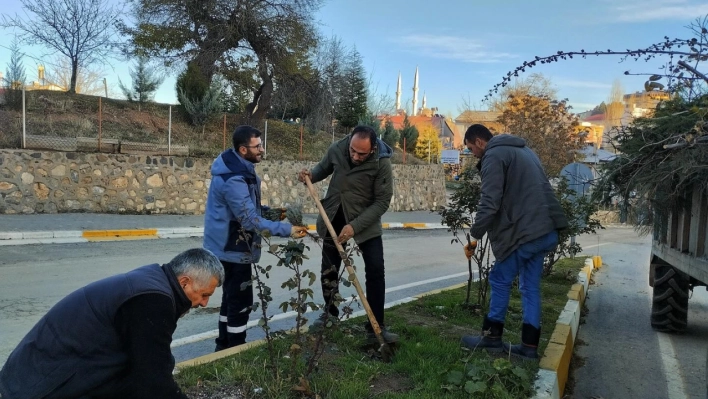 Arapgir Balediyesi Peyzaj ve Temizlik Çalışmaları Devam Ediyor