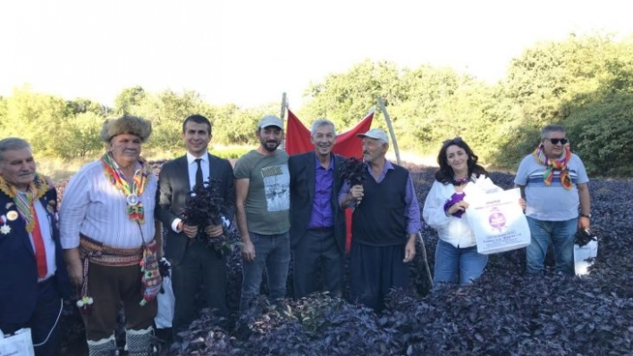 Arapgir'de festival dolu dolu geçti