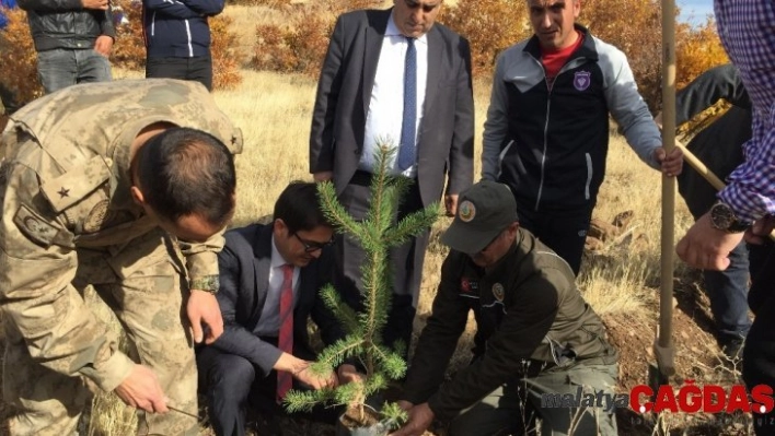 Arapgir'de fidanlarla toprakla buluştu