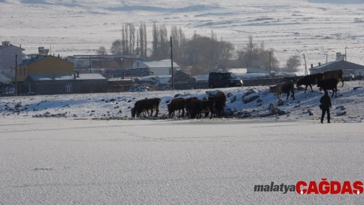 Ardahan'da Aktaş Gölü dondu