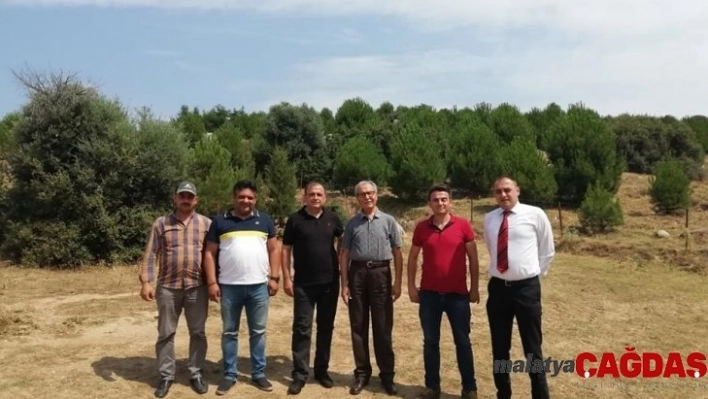 Aydın TEMA, Nazilli'de faaliyetlerine başladı