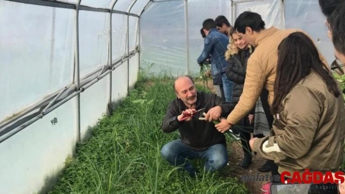 Bafra Dedeli Tarım Meslek Lisesinde döner sermaye işletmesi kuruldu