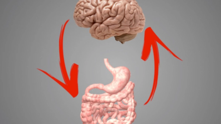 Bağırsaklar ile beyin arasında nasıl bir ilişki var?