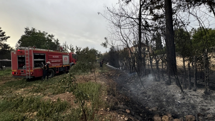 Bahçelere sıçrayan yangın söndürüldü