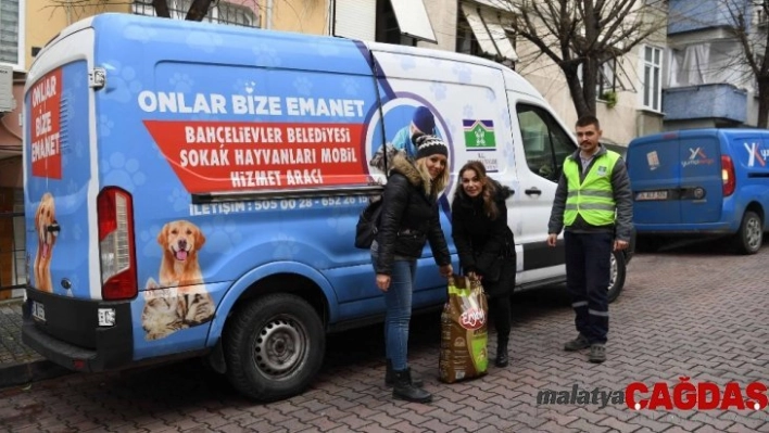 Bahçelievler Belediyesi, sokak hayvanlarını unutmadı