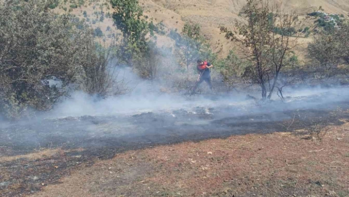 Bahçesaray'da mera alanında yangın