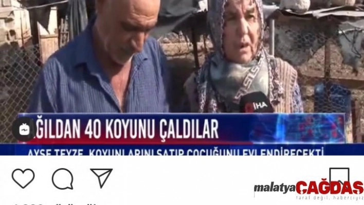 Bakan Pakdemirli'den koyunları çalınan Ayşe teyzeye destek