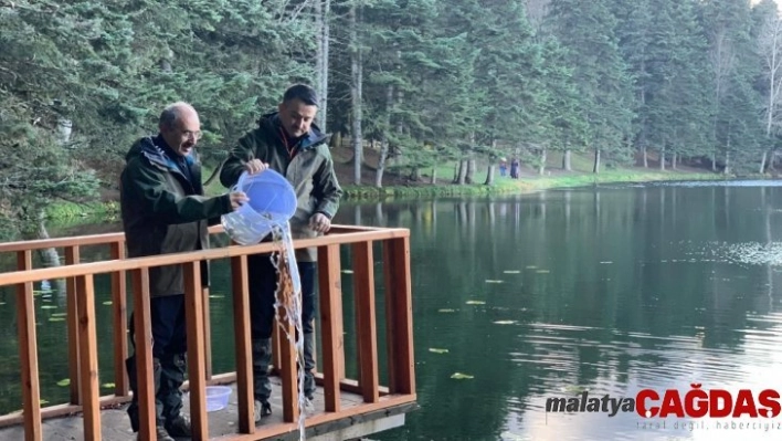 Bakan Pakdemirli kara akbabayı doğaya saldı