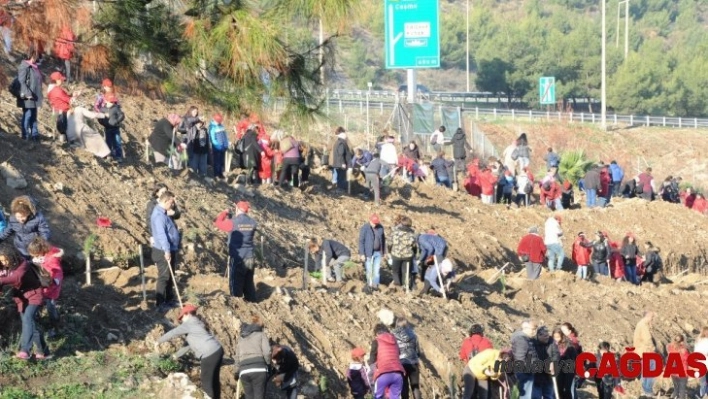 Balçova'da her çocuğun bir ağacı olacak