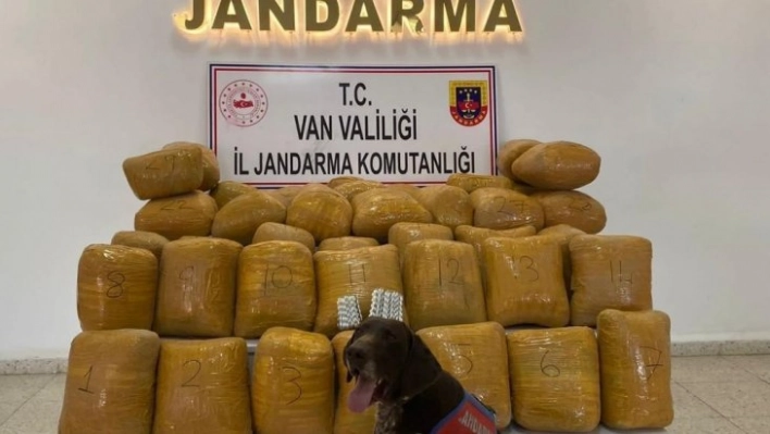 Başkale'de 200 kilo toz esrar ve 500 adet sentetik ecza hap ele geçirildi