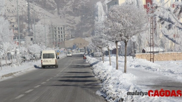 Başkale'de hayat adeta buz kesti