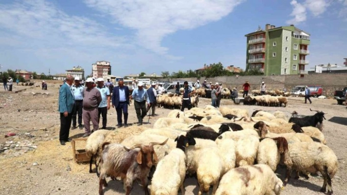 Başkan Akman, kurban satış noktalarını ziyaret etti