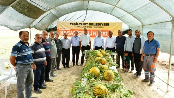 Başkan Çınar, kavun hasadına katıldı