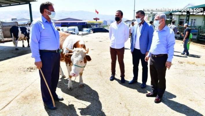 Başkan Çınar, canlı hayvan pazarında inceleme yaptı