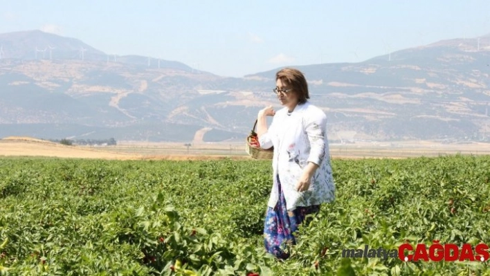 Başkan Şahin, Antep sofrasını markalaştırdı