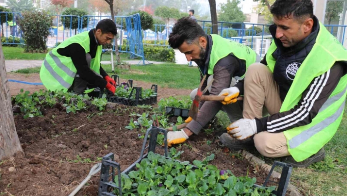 Batman'da cadde ve refüjler çiçeklerle süslendi